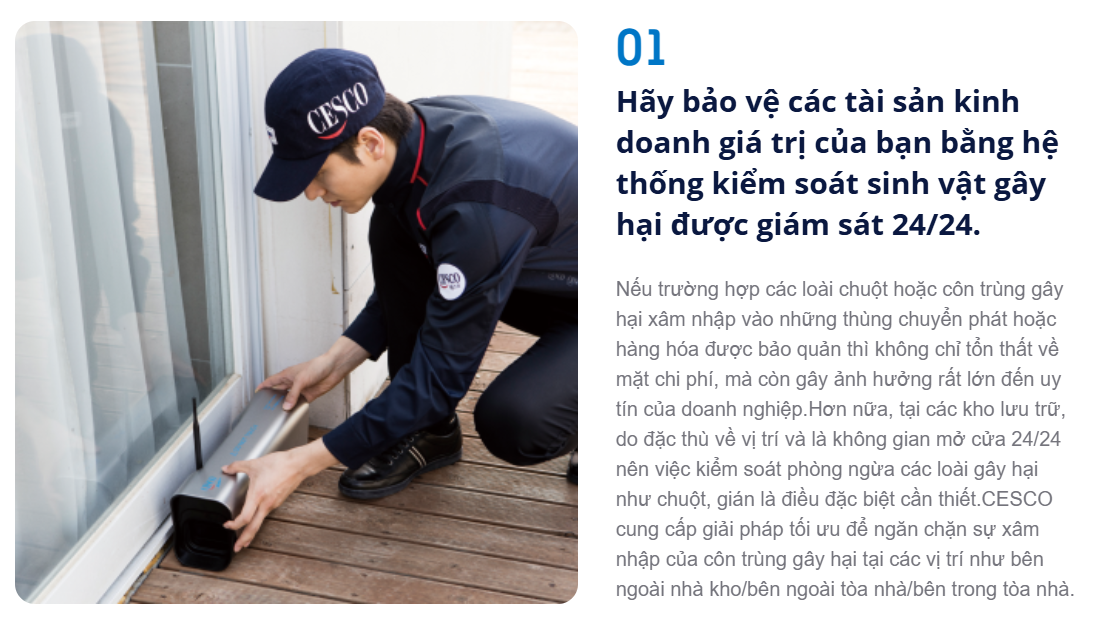 dịch vụ kiểm soát côn trùng cho kho xưởng
