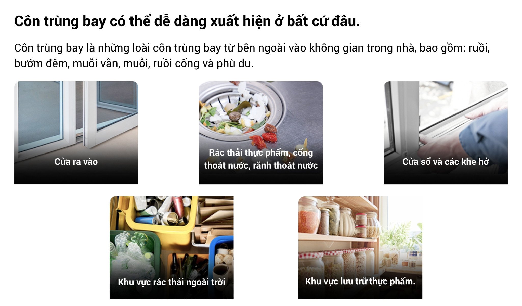 den-bat-con-trung-bay-cesco-hien-dai