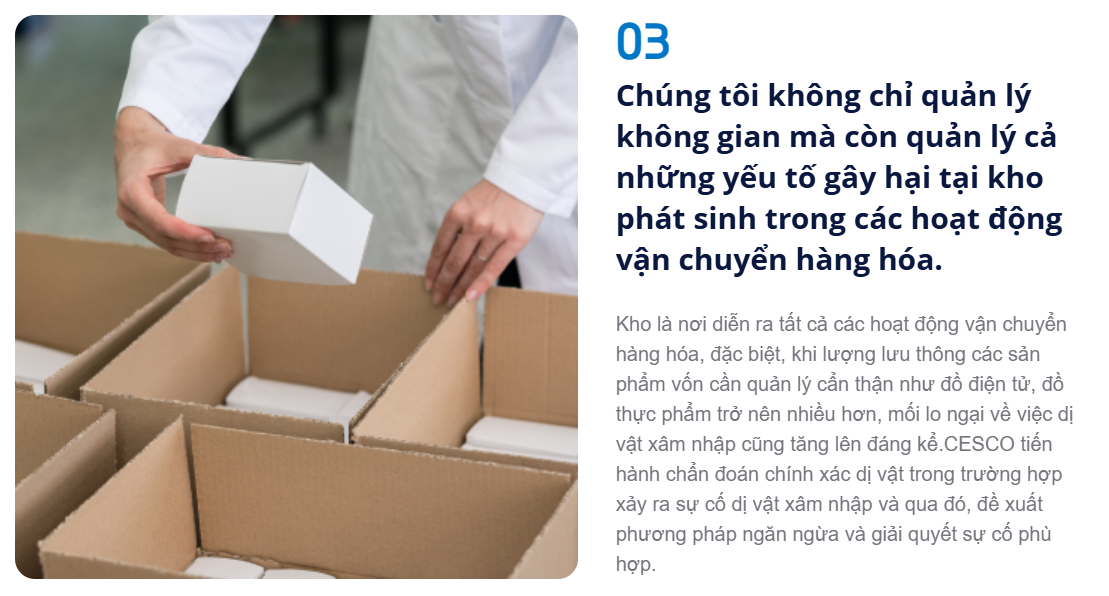 dịch vụ kiểm soát côn trùng cho kho xưởng