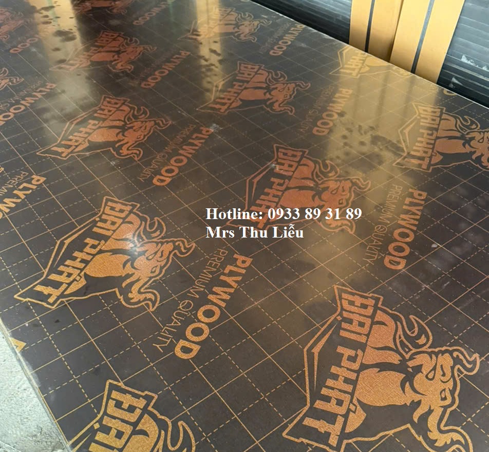 Cung Cấp Ván Phủ Phim Lót Sàn Sự Kiện tại Bình Dương