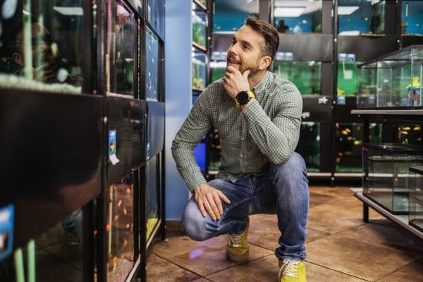 Những loại cá cảnh dễ nuôi cho người mới bắt đầu