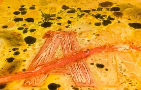 Anicka Yi – You Can Call Me F (2015)