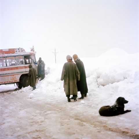 Sohrab Hura on Snow, 2015–ongoing