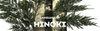 LANGUAGE OF HINOKI