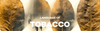 LANGUAGE OF TOBACCO