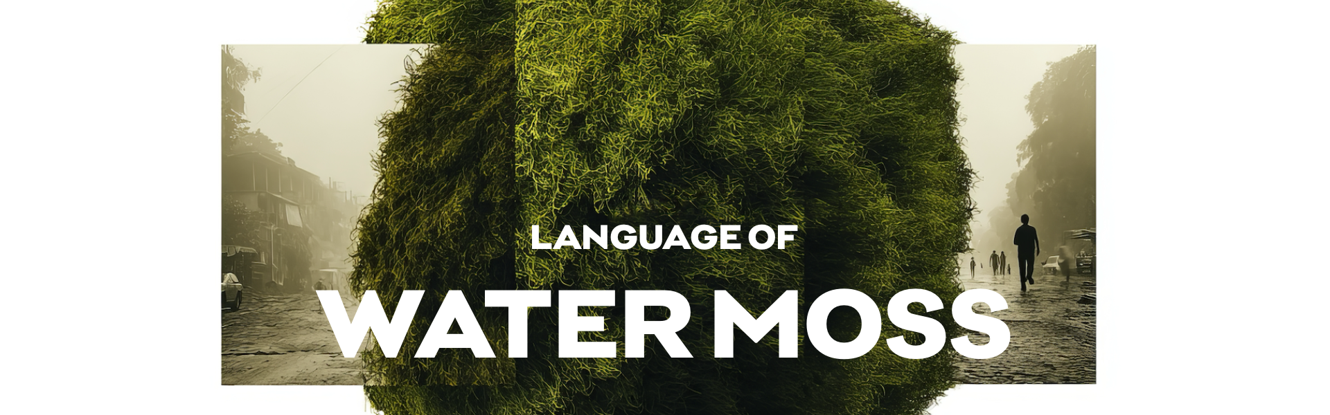 LANGUAGE OF WATER MOSS
