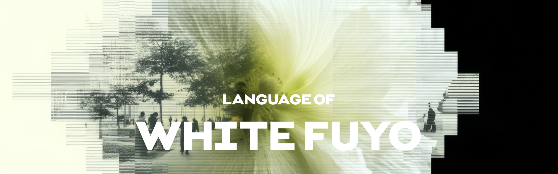 LANGUAGE OF WHITE FUYO