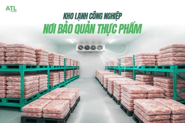 Kho Lạnh Cho Doanh Nghiệp Thực Phẩm Đầu Tư Tốn Kém Hay Cỗ Máy Sinh Lời Bền Vững?