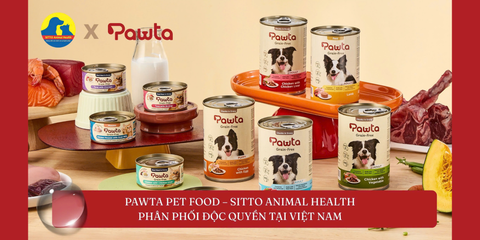 Pawta Pet Food – Đã chính thức có mặt tại Việt Nam qua Sitto Animal Health