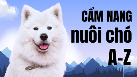 Cẩm Nang Nuôi Chó: Chăm Sóc Từ A-Z Từ Khi Mới Sinh Đến Khi Lớn