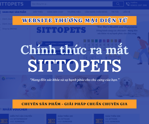 Sittopets.com chính thức ra mắt – Nền tảng thương mại điện tử dành riêng cho thú cưng tại Việt Nam