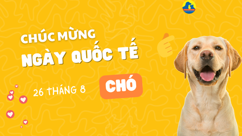 CHÚC MỪNG NGÀY QUỐC TẾ CHÓ – NGƯỜI BẠN TRUNG THÀNH LUÔN XỨNG ĐÁNG VỚI SỰ CHĂM SÓC TỐT NHẤT