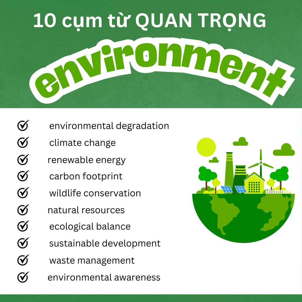 10 Collocations quan trọng nhất về chủ đề Môi trường (B2/C1)