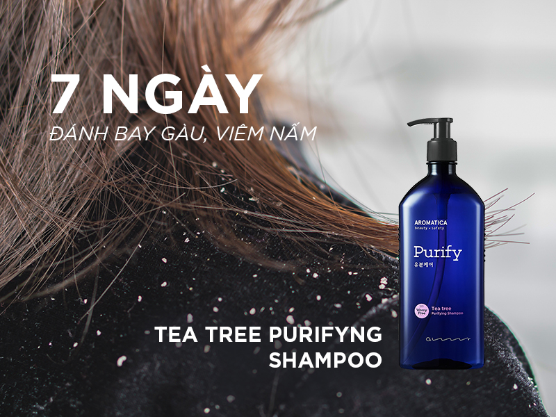 DẦU GỘI NGĂN NGỪA GÀU, VIÊM, NẤM TEA TREE PURIFYING SHAMPOO