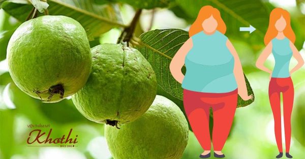 Review ưu, nhược điểm phương pháp giảm cân bằng lá ổi tại nhà
