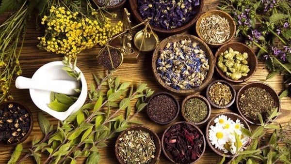 Giảm cân bằng các vị thuốc nam an toàn và hiệu quả
