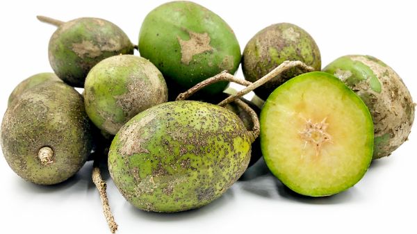 Giảm cân bằng quả cóc có mang lại hiệu quả hay không?