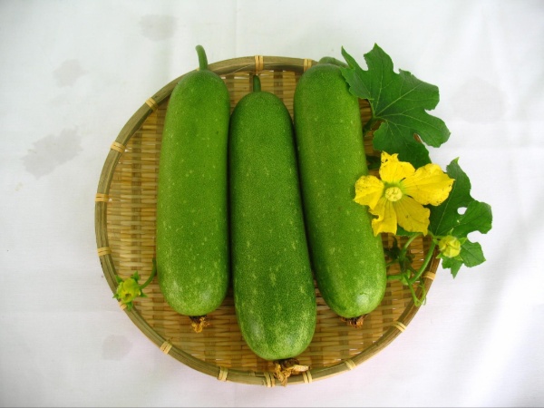 Giảm cân nhanh bằng bí đao trong 1 tuần