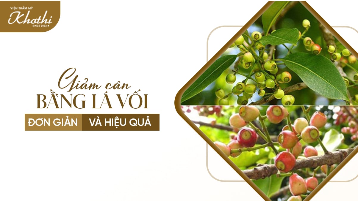 Giảm cân với lá vối hiệu quả và đơn giản