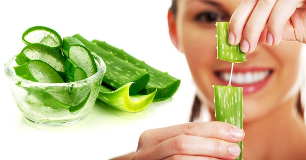 10 cách trẻ hóa da bằng nha đam giúp chống lão hóa da hiệu quả nhất