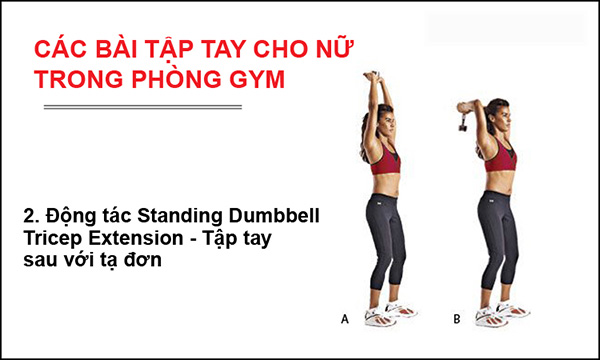 Bài tập tay sau