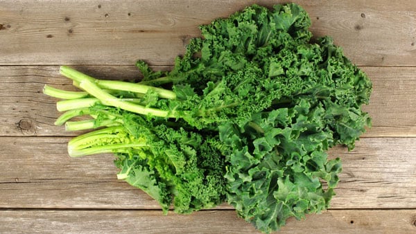 Cải kale giàu vitamin