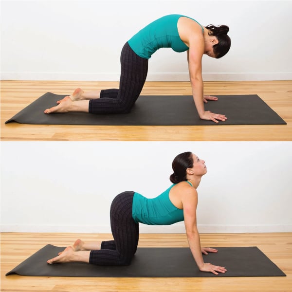 Cat-cow Pose