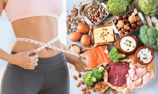 Có rất nhiều thực phẩm có chất đạm cao và lượng calo ít