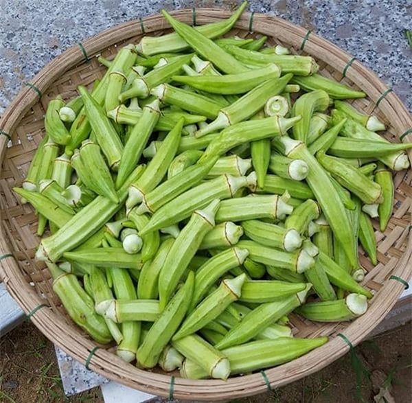 Đậu bắp luộc giảm cân