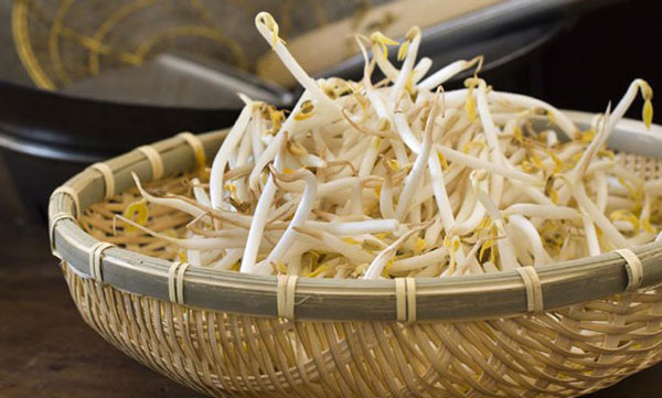 Giá đỗ giúp giảm cân tốt