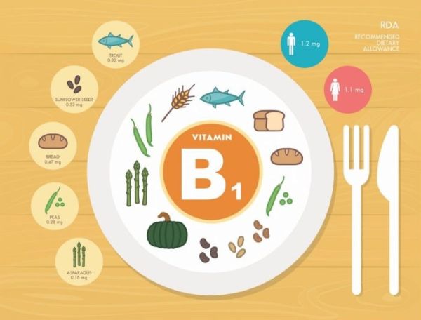 Sầu riêng chứa nhiều lượng vitamin B1 hỗ trợ đốt cháy năng lượng cho cơ thể