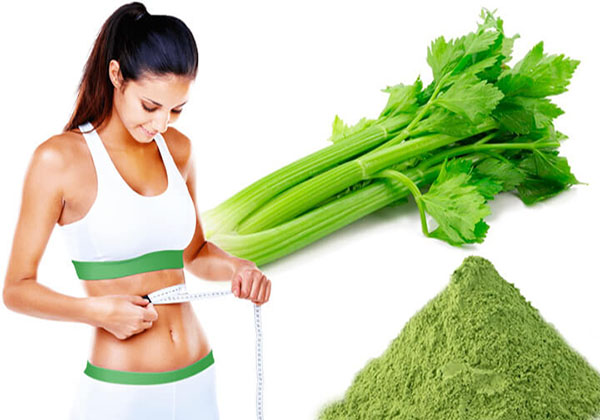Bột cần tây là phương pháp giảm cân an toàn và tự nhiên. Bột cần tây là phương pháp giảm cân an toàn và tự nhiên.
