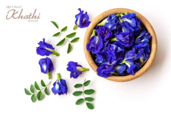 Hoa đậu biếc có chứa nhiều chất giúp giảm cân tự nhiên
