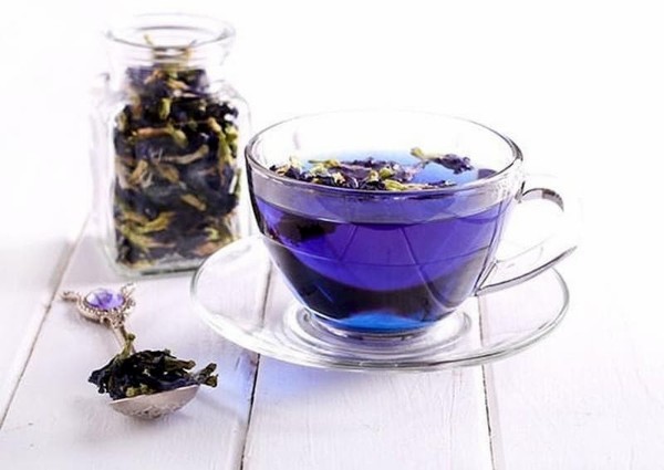 Trà hoa đậu biếc detox