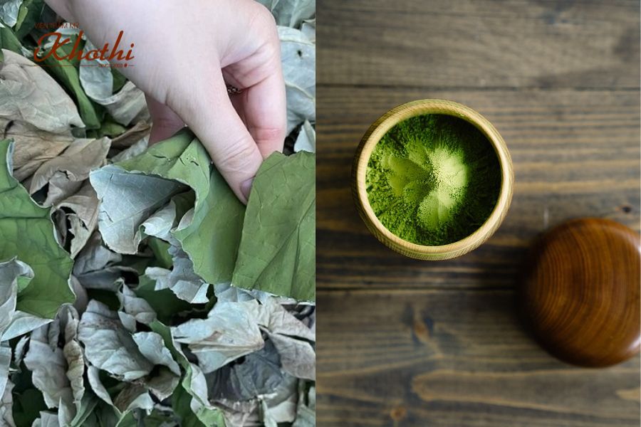 giảm cân bằng lá sen khô