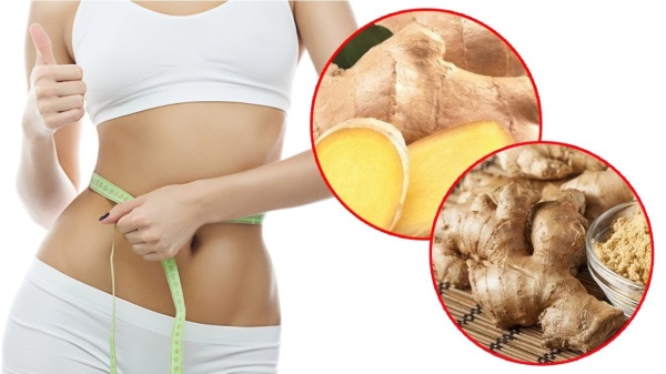 Gừng là vị thuốc tốt có tác dụng giảm cân Gừng là vị thuốc tốt có tác dụng giảm cân