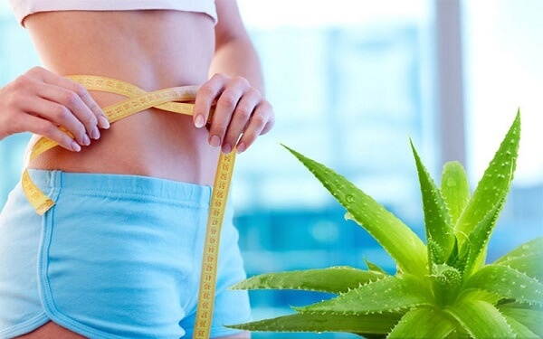 Nha đam có tác dụng giảm được cân nặng là nhờ sự tăng cường trao đổi chất Nha đam có tác dụng giảm được cân nặng là nhờ sự tăng cường trao đổi chất