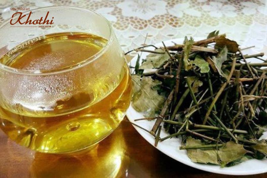 Sử dụng lá vối khô tốt hơn lá vối tươi.