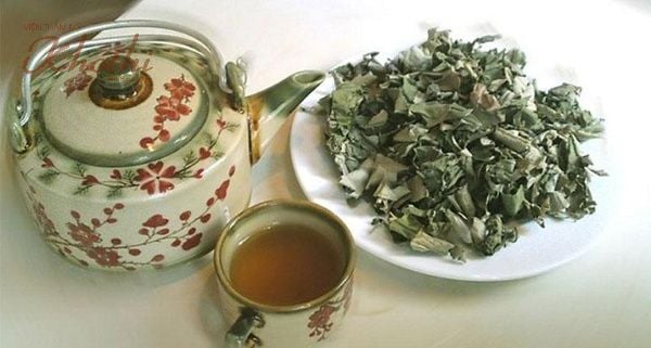 Không nên uống nước vối để qua đêm