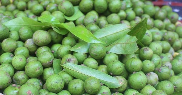 giảm cân bằng quả sấu