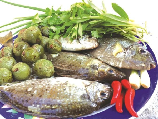 Thực đơn giảm cân hiệu quả với canh sấu