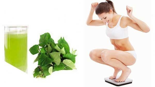 Giảm cân bằng rau diếp cá mang lại hiệu quả cao.