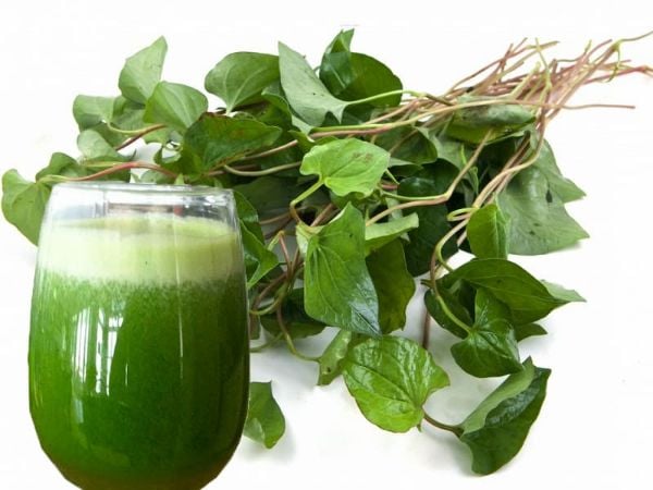 Rau diếp cá giúp nhuận tràng nên cần sử dụng với lượng vừa phải để tránh gây rối loạn tiêu hóa