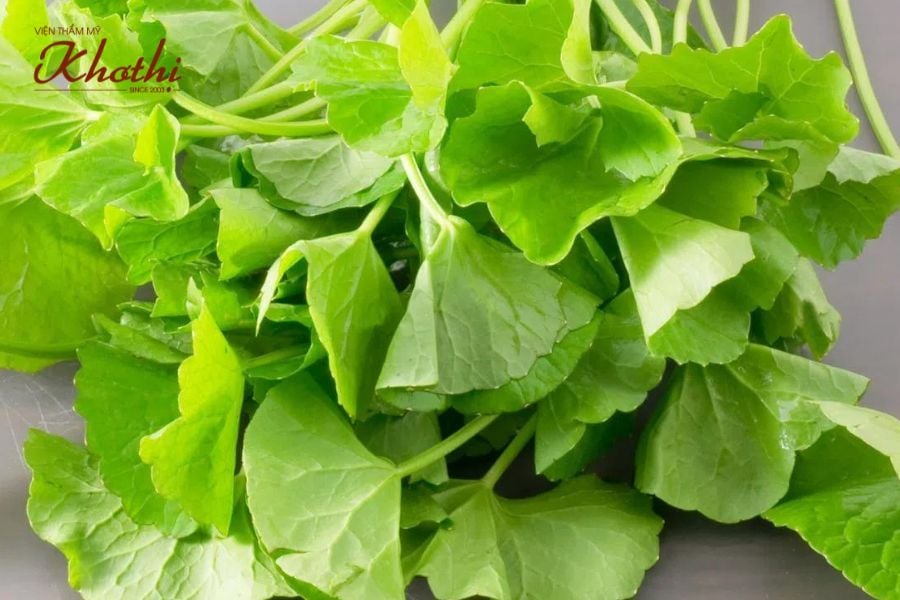 Rau má chứa chất chống oxy hoá đóng vai trò quang trọng trong quá trình giảm cân.