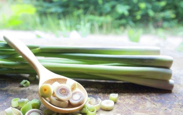 Sả có nhiều công dụng giúp giảm cân và tốt cho sức khỏe.
