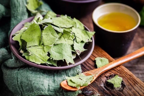Trà lá sen vừa giúp giảm cân vừa làm thuốc điều trị cao huyết áp. Lá sen phơi khô