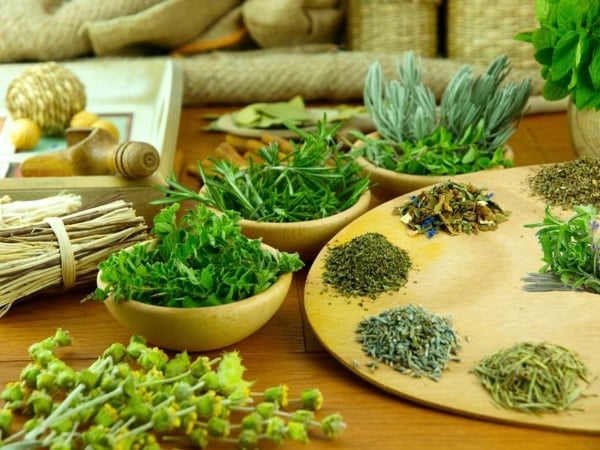 Thuốc nam có nguồn gốc từ các loại thảo mộc bản địa, an toàn cho sức khỏe