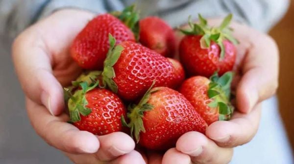 Dâu tây giúp tan mỡ bụng và giúp quá trình giảm cân bằng trái cây thành công