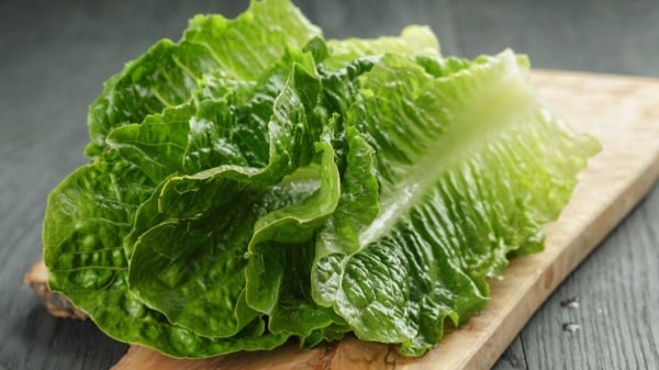 Cách giảm cân bằng rau xà lách