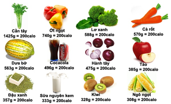Cần xác định lượng calo của các loại thực phẩm mà bạn ăn sẽ giúp tránh thất bại khi giảm cân Cần xác định lượng calo của các loại thực phẩm mà bạn ăn sẽ giúp tránh thất bại khi giảm cân